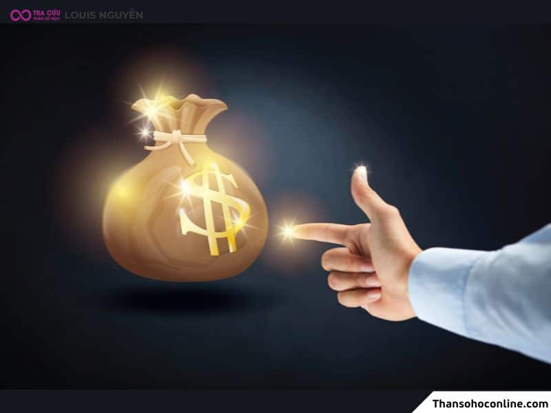 Mệnh chủ dễ kiếm tiền, hay được may mắn về mặt tiền bạc, kiếm tiền dựa vào học thức, kiến thức của bản thân nhờ Sao Thanh Long trong tử vi