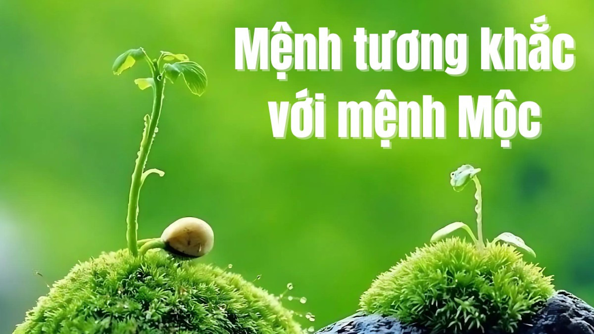 mệnh tương khắc với người mệnh mộc