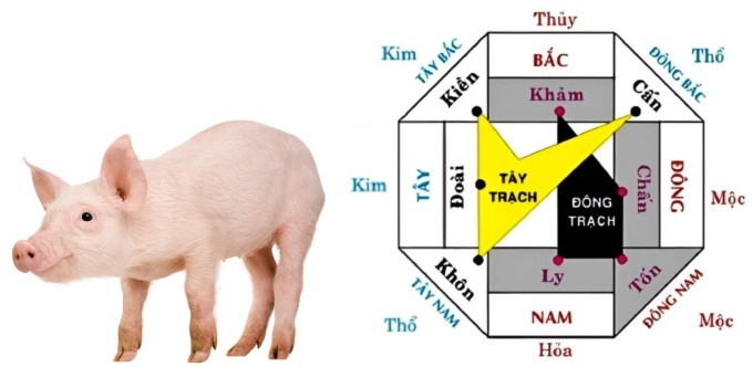 Mô hình nhà hướng tốt theo phong thủy cho gia chủ Đinh Hợi 2007