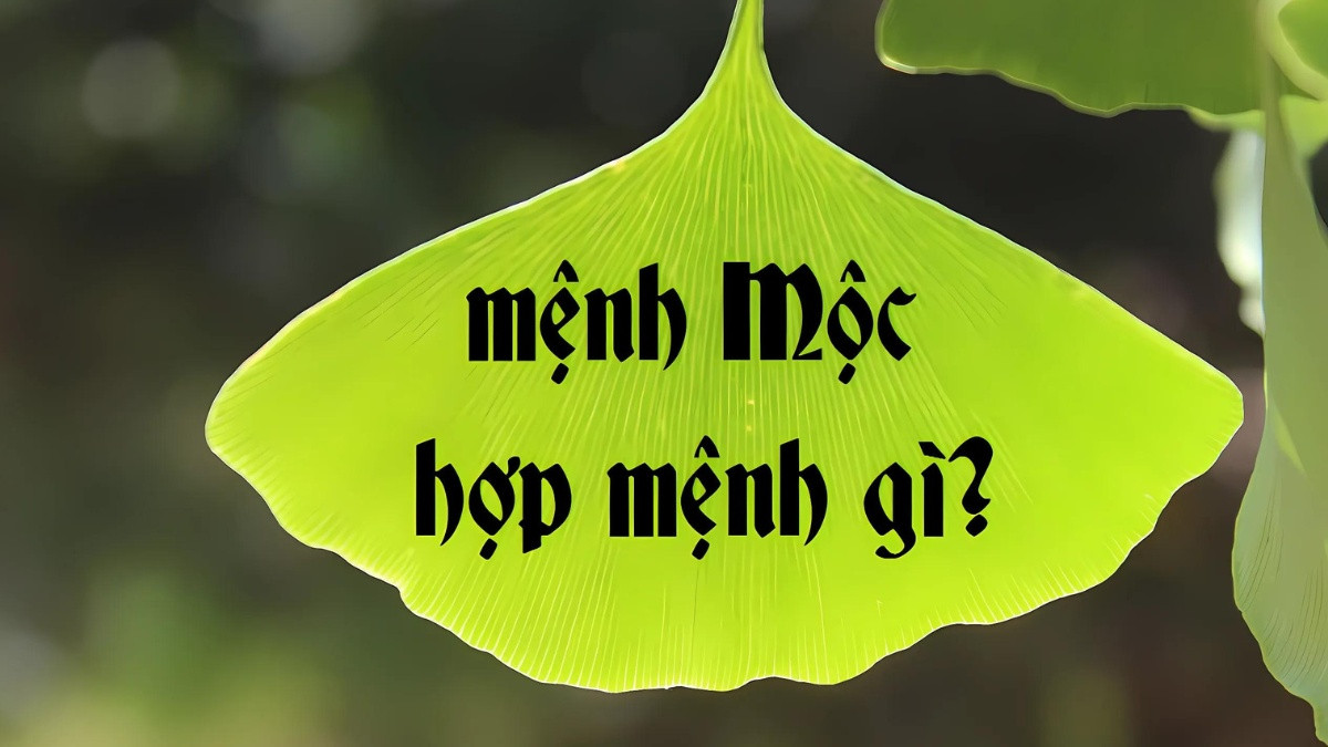 Mối quan hệ tương sinh của mệnh Mộc