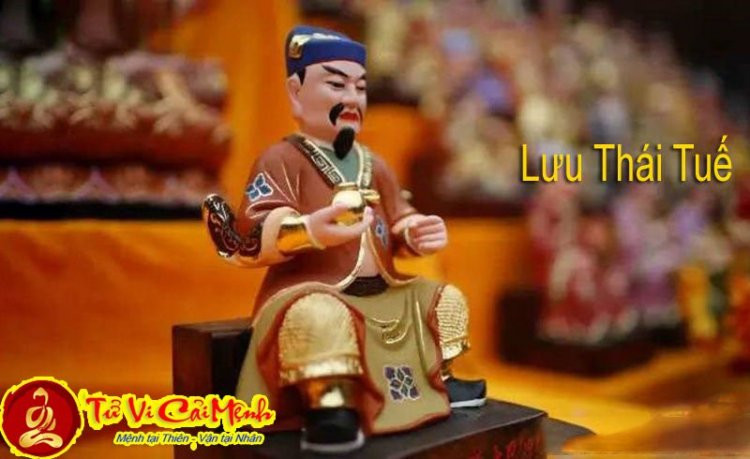 Một lá số tử vi minh họa các cung và vị trí sao lưu trong tử vi, thể hiện sự vận động của các vì sao ảnh hưởng đến vận mệnh con người.