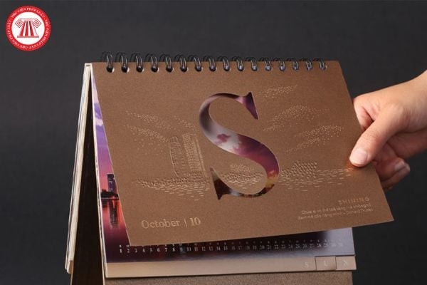 Một người phụ nữ trẻ đang làm việc trên laptop, tượng trưng cho sự linh hoạt và trí tuệ của người sinh ngày 10/6 cung Song Tử trong công việc.