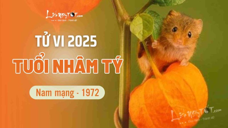 Nam mạng Nhâm Tý 1972 xem tử vi 2025 chi tiết vận hạn
