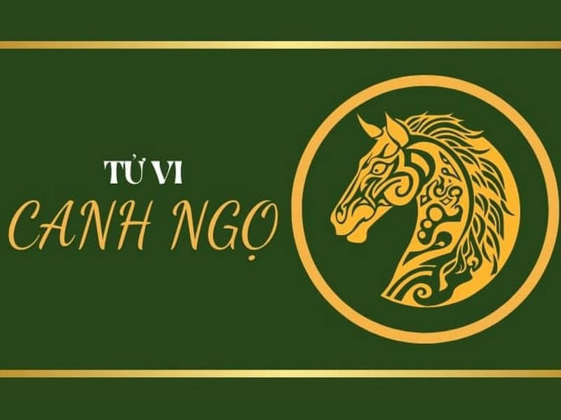 Nam mạng tuổi Canh Ngọ 1990 đang xem tử vi năm 2026