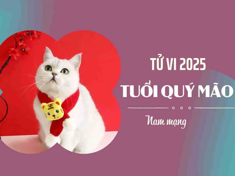 nam mạng tuổi quý mão đối mặt thách thức trong năm Ất Tỵ 2025