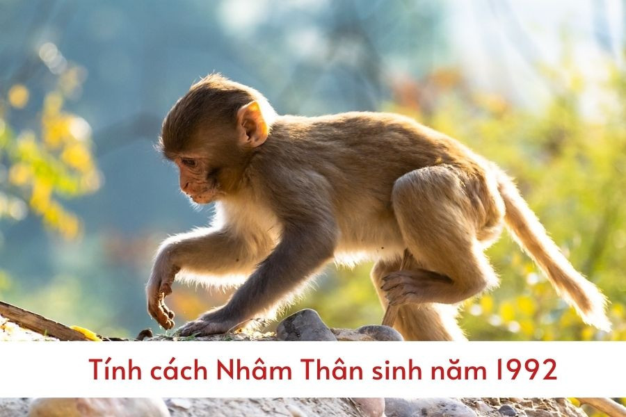 Nam Nhâm Thân 1992 có ý chí kiên cường, sẵn sàng đối mặt với thử thách