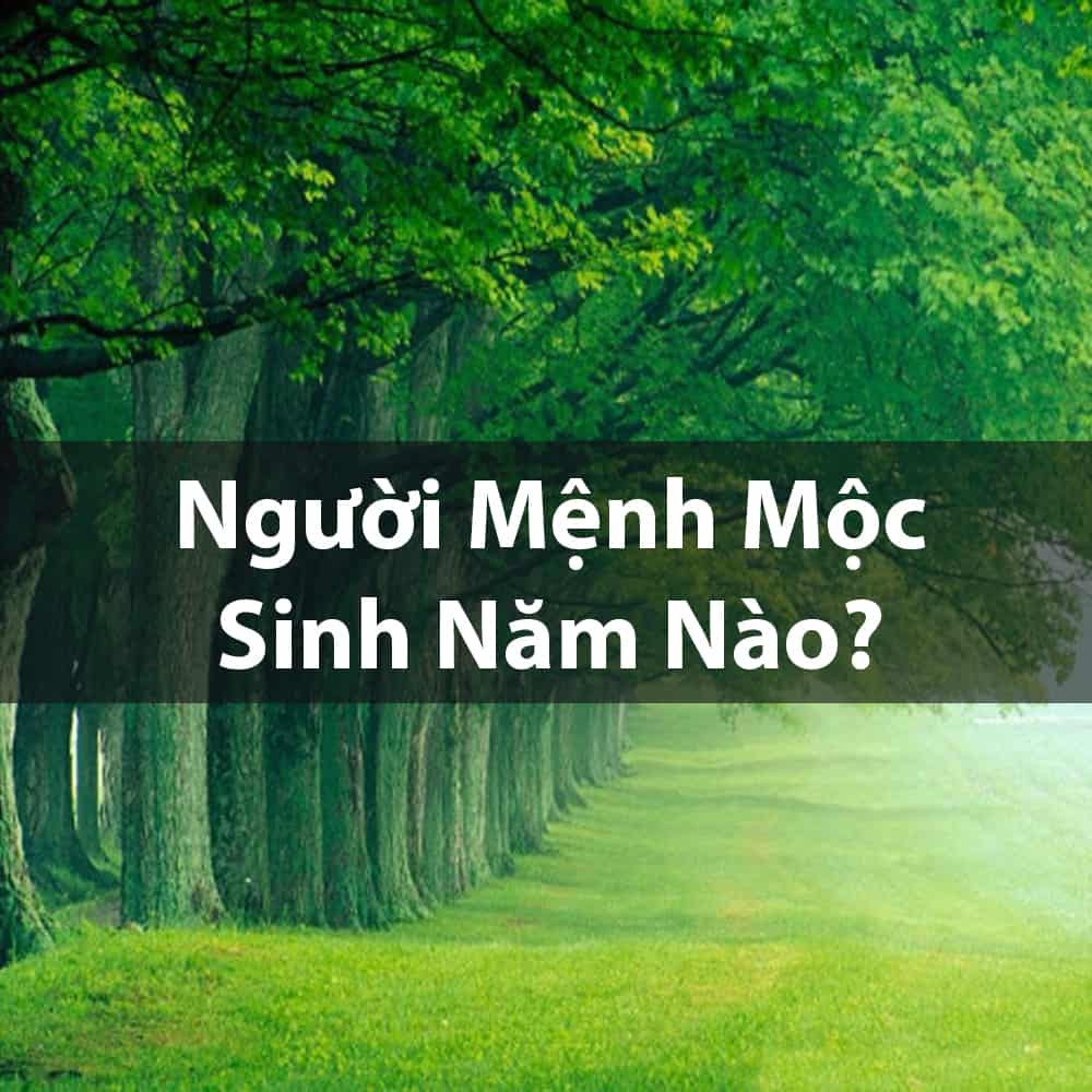Năm sinh của người mệnh Dương Liễu Mộc theo phong thủy