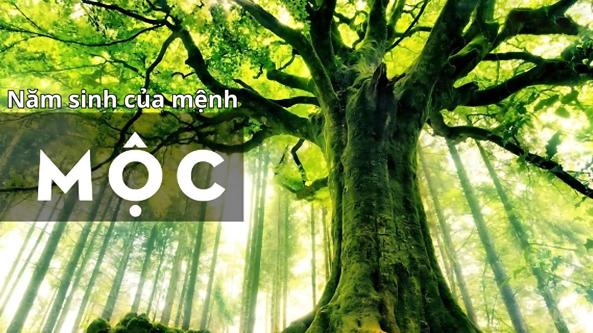 Năm sinh của người mệnh Mộc và quy luật tương khắc