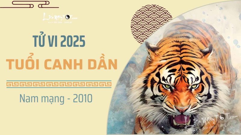 Nam thanh niên tuổi Canh Dần 2010 suy tư về tử vi năm 2025, tìm kiếm định hướng vận mệnh