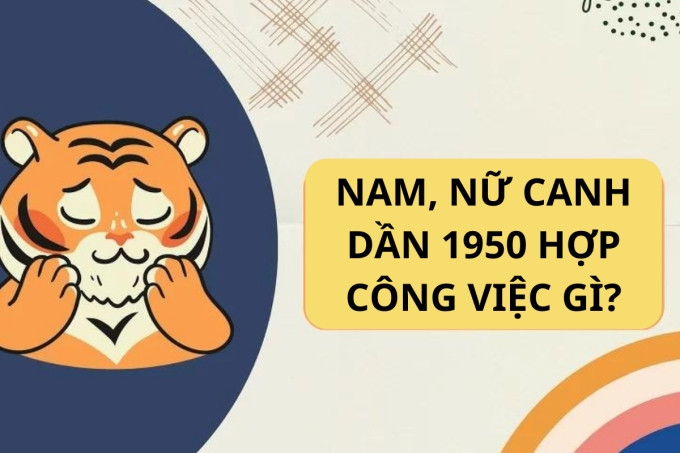 Nghề nghiệp lý tưởng cho Nam và Nữ Canh Dần 1950