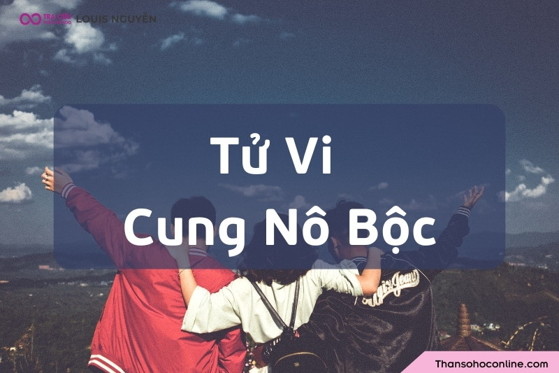 Người có sao Tử Vi ở cung Nô Bộc thường có mạng lưới quan hệ xã hội rộng mở.