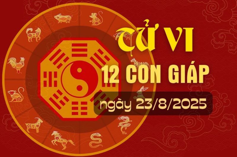 Người đọc tử vi, chiêm nghiệm vận mệnh