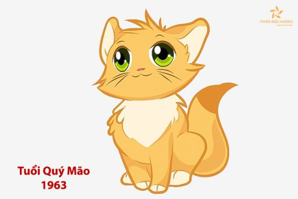 Người nam sinh năm 1963 mệnh gì, tuổi Quý Mão