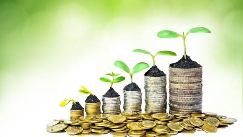 Người nam tuổi Ất Hợi 1995 đang xem xét kế hoạch tài chính năm 2024