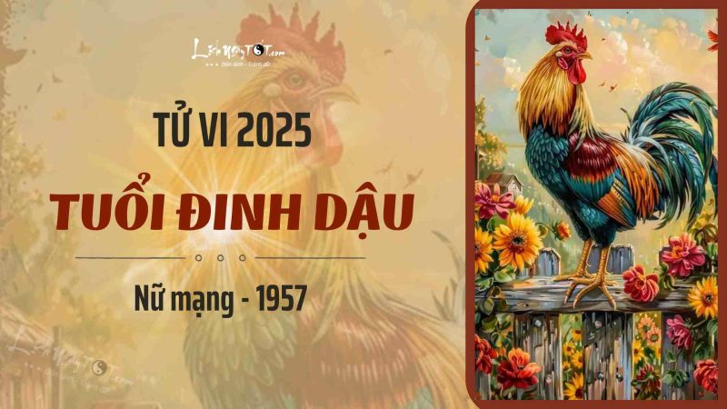 Người nữ tuổi Đinh Dậu 1957 xem tử vi năm 2025 để biết vận mệnh sắp tới