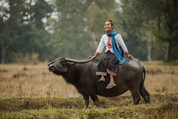 Người phụ nữ Ất Sửu 1985 với tâm hồn lãng mạn và sự quan tâm gia đình