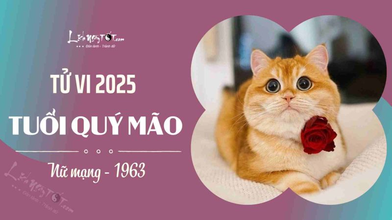 Người phụ nữ tuổi Quý Mão xem tử vi năm 2025