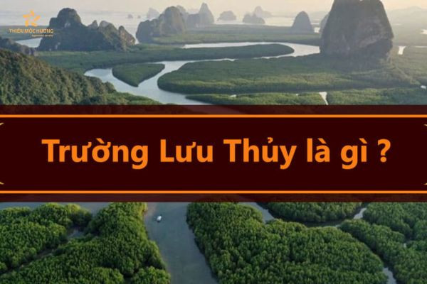 Người sinh năm 1953 thuộc mệnh Thủy - Trường Lưu Thủy