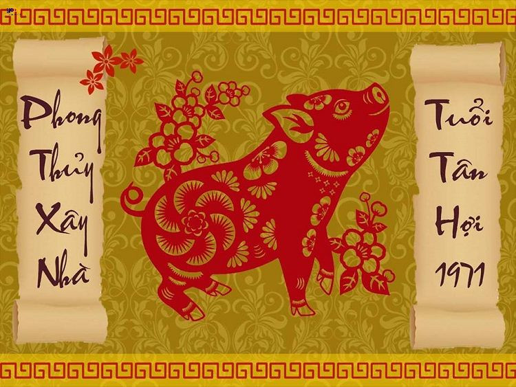 Người sinh năm 1971 tuổi con gì, tuổi Tân Hợi cầm tinh con Lợn
