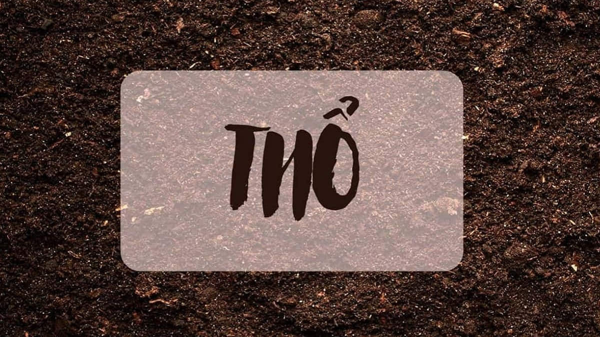 Người sinh năm 1977 thuộc mệnh Thổ Sa Trung Thổ