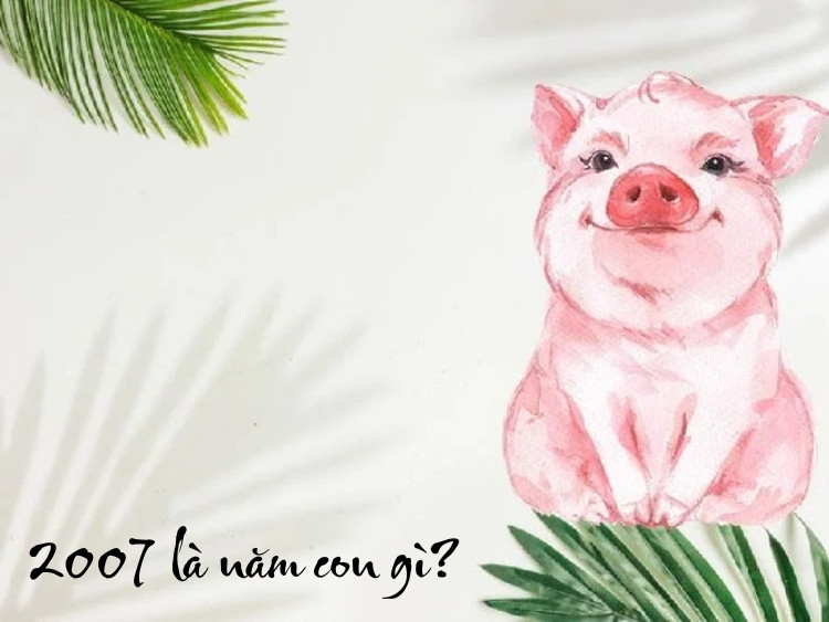 Người sinh năm 2007 là tuổi con Heo