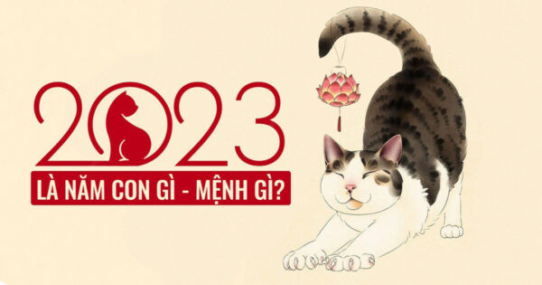 Người sinh năm 2023 mệnh Kim Bạch Kim hợp màu gì
