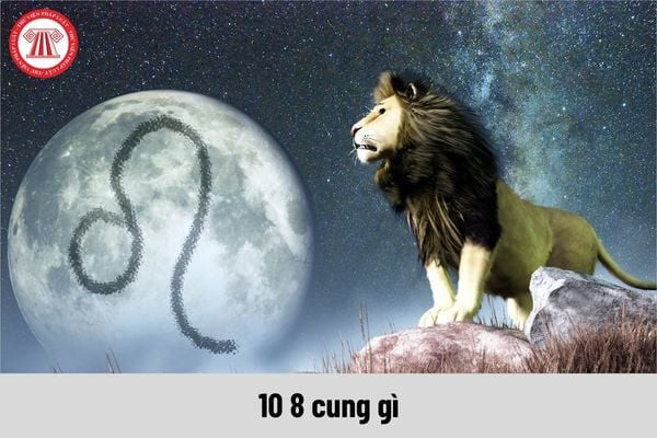 Người sinh ngày 10/8 thuộc cung Sư Tử biểu tượng của sự mạnh mẽ, quyền uy và tâm linh
