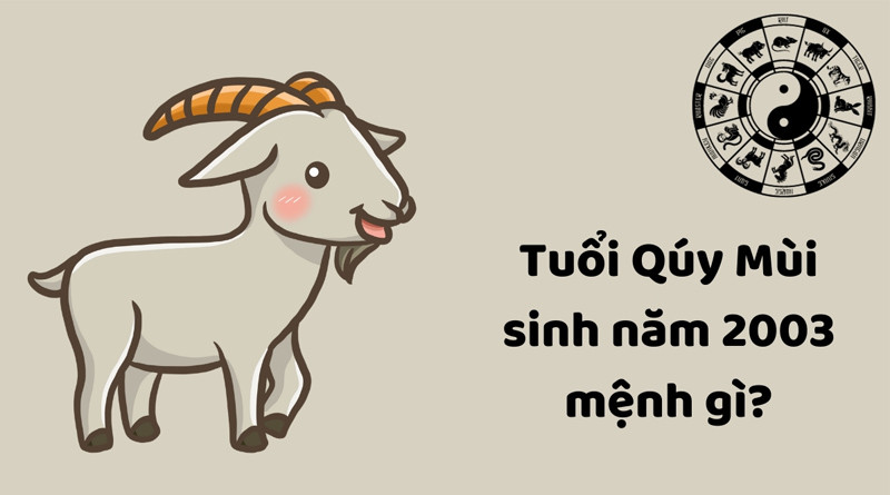 Người sinh ra trong năm 2003 sẽ thuộc hành Mộc