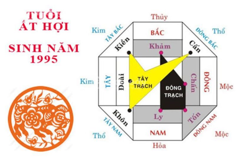 Người tuổi Ất Hợi 1995 và cung mệnh theo phong thủy bát trạch