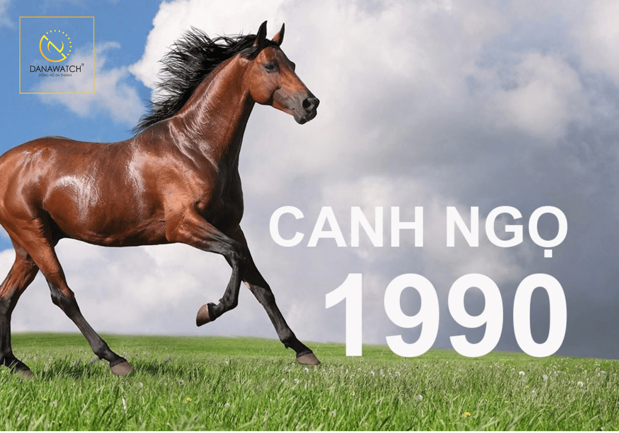 Người tuổi Canh Ngọ 1990 với hình ảnh ngựa biểu tượng sức mạnh