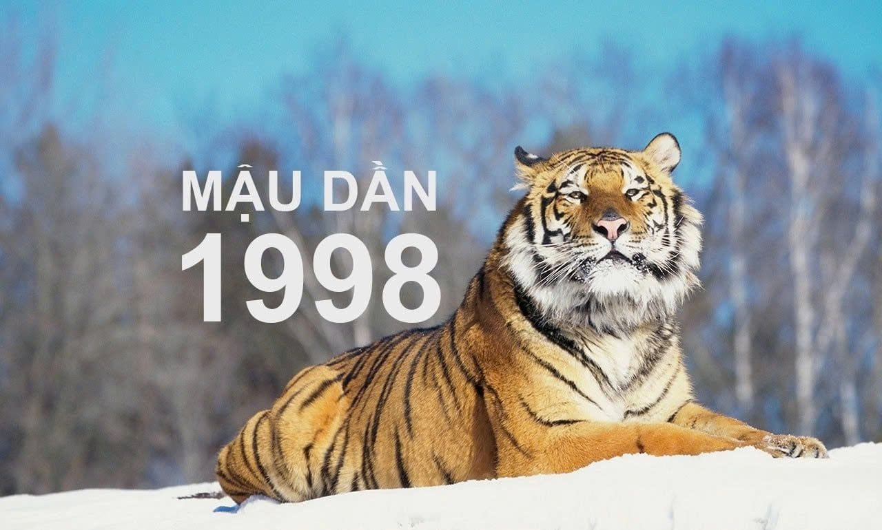 Người tuổi Dần 1998 cầm tinh con Hổ