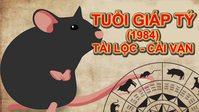 Người tuổi Giáp Tý 1984 cân nhắc kỹ lưỡng các yếu tố tử vi