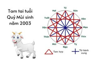 Người tuổi Mùi 2003 đang tìm hiểu về cách tính tam tai, với các biểu tượng phong thủy xung quanh tượng trưng cho sự hóa giải.