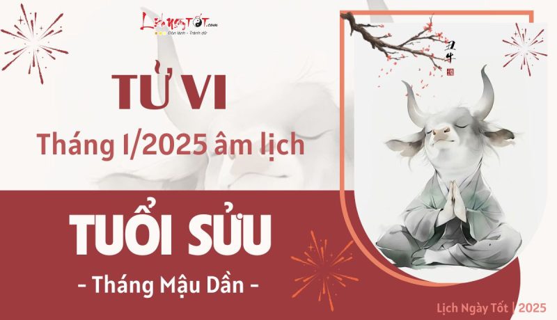 Người tuổi Sửu xem tử vi tháng 1/2025 âm lịch để nắm bắt vận may và thách thức