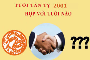 Người tuổi Tân Tỵ sinh 2001 là mệnh gì hợp tuổi nào trong kinh doanh