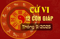 Người tuổi Thân đang nhìn vào biểu đồ tài chính, hy vọng tử vi tài lộc 12 con giáp sẽ mang lại sự ổn định