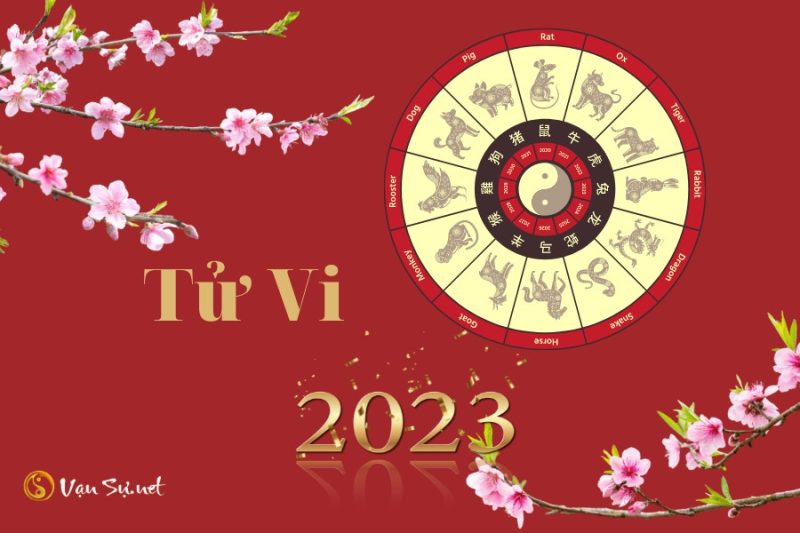 Người xem tử vi cho năm Quý Mão 2023
