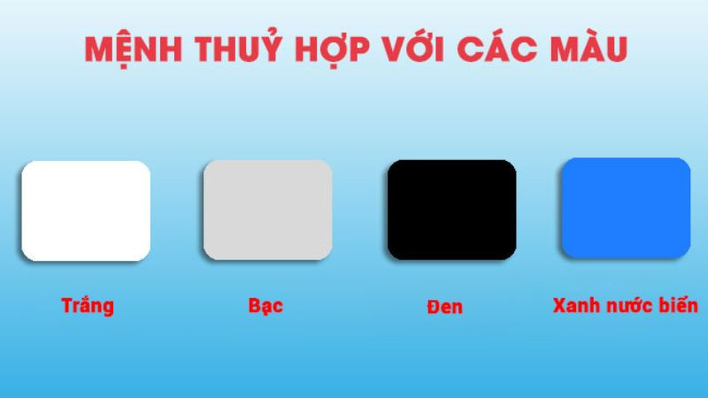 Nhâm Tuất 1982 hợp màu trắng, bạc, xanh biển, đen mang đến may mắn