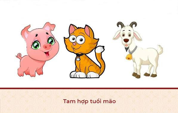 Nhóm bạn đang vui vẻ, thể hiện sự hòa hợp trong các mối quan hệ của người tuổi Mão