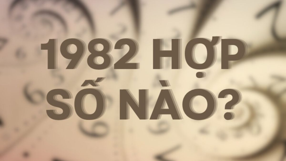Những con số may mắn cho người mệnh Thủy sinh năm 1982
