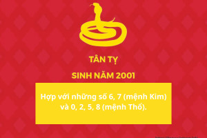 Những con số may mắn cho người sinh năm 2001 là mệnh gì