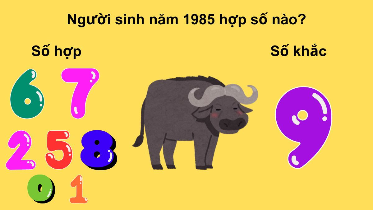 Những con số may mắn phù hợp với tuổi Sửu 1985 hợp với con số nào