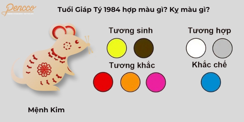 Những màu sắc tương sinh, tương hợp cho tuổi Giáp Tý 1984 hợp màu gì 2025