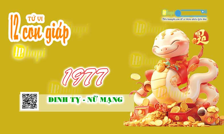 Nữ Đinh Tỵ 1977 quản lý tài chính hiệu quả trong năm Ất Tỵ 2025