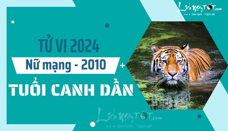 Nữ mạng Canh Dần 2010 xem tử vi 2024