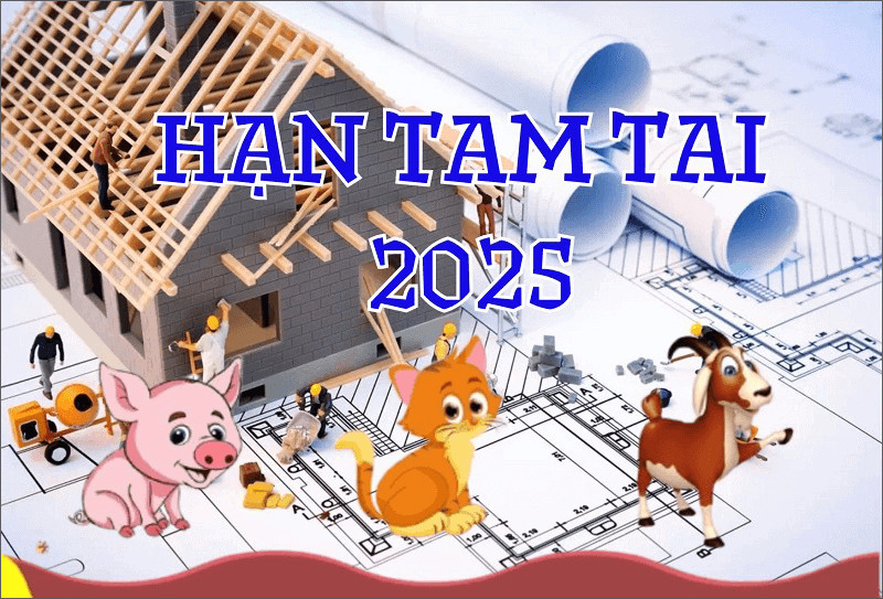 Nữ mạng Quý Mão cần cẩn trọng mọi hoạt động lớn do phạm Tam Tai trong tử vi tuổi Quý Mão nữ mạng năm 2025.