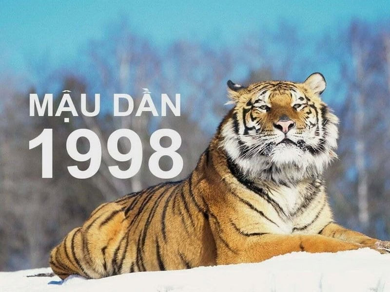 Nữ Mậu Dần 1998 đón nhận nhiều thay đổi trong vận trình năm 2026