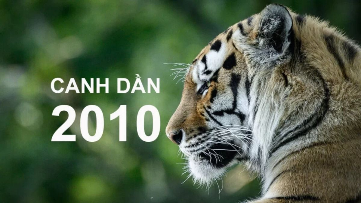 Nữ sinh năm 2010 tuổi gì, hình ảnh con hổ tượng trưng cho tuổi Dần Canh Dần.