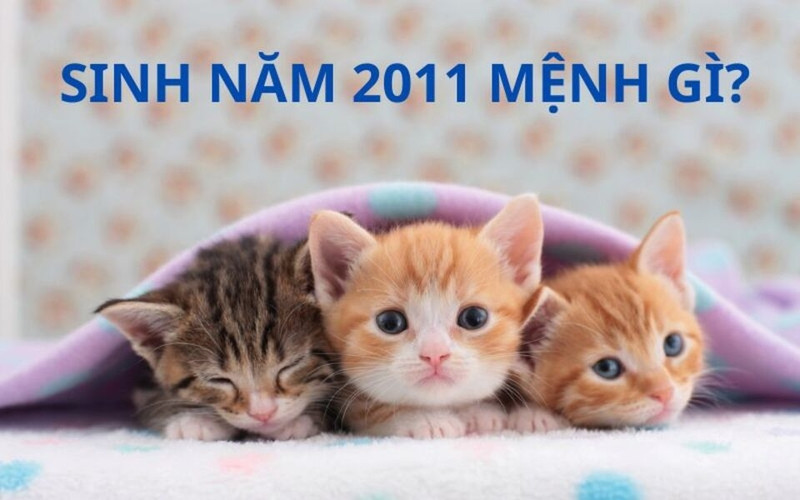 Nữ sinh năm 2011 thuộc mệnh Mộc