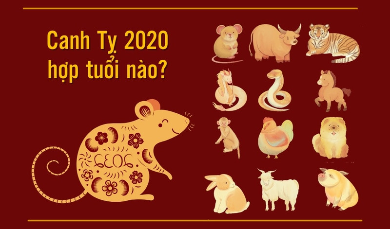 Nữ sinh năm 2020 hợp tuổi nào, hình ảnh cặp đôi hạnh phúc trong hôn nhân